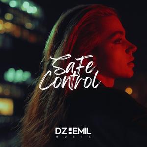 Safe Control