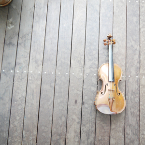 元気100％！生ストリングス