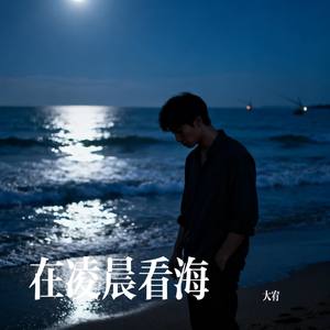 在凌晨看海