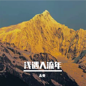 浅遇入流年