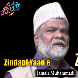 Zindagi Yaad e