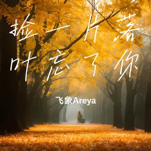 捡一片落叶忘了你