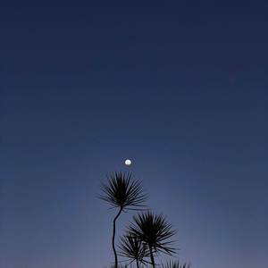 बादलों ने पोल खोल दी