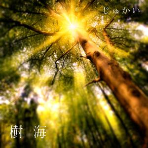 樹海