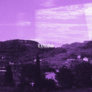 N E W  P A R A D I S E