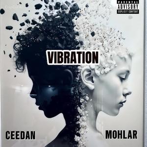 VIBRATION (feat. Mohlar)