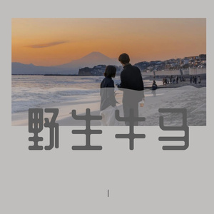 野生牛马（Prod By Roster）