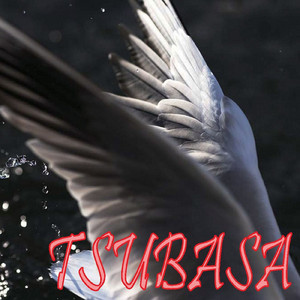 TSUBASA