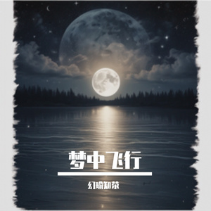 梦中飞行 伴奏
