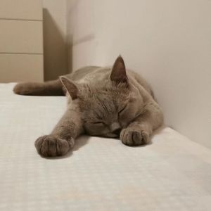 【FREE BEAT】emo beat emo的钢琴和塑料弦乐