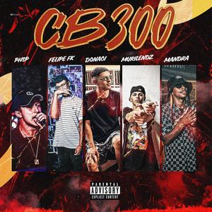 CB300