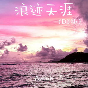 浪迹天涯（DJ版）
