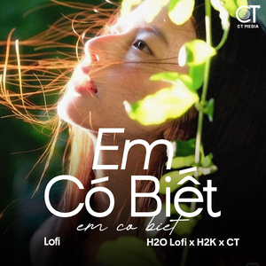 Em Có Biết (Lofi)