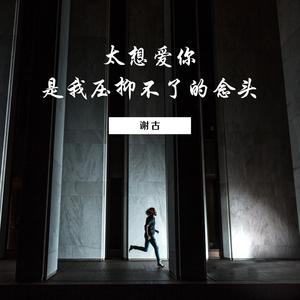 我在等某年某月的某一天某人出现 (Dj版)