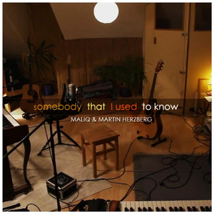 Somebody That I Used to Know