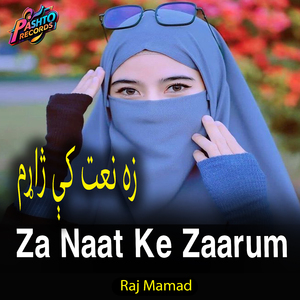 Madina Zindagi De