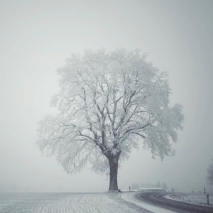 Lazy x 网感 Type Beat “人总喜欢反季节的东西”