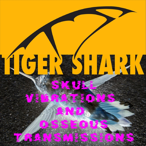 Seasonal Affective Disorder (Pizza and Marijuana)