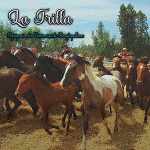 La Trilla