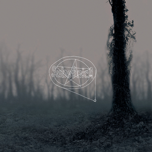 Radiopatchanka (Live From Italy/2003)