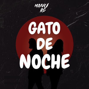 Gato De Noche (Remix)