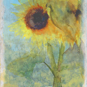 熱帯鱼の涙（翻自 flower）