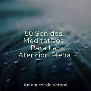 Ritual melancólico a la luz de la luna