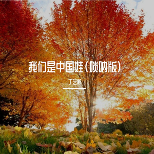 我们是中国娃(唢呐版)