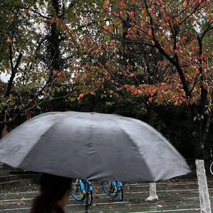 最初的记忆（木夕版）