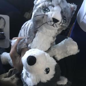 自救（prod By 9Zi）