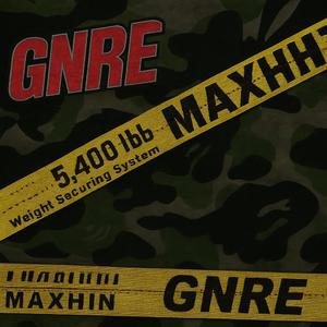 GNRE