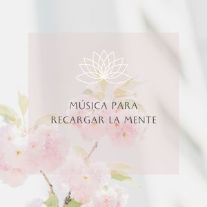 Vipassana Meditación