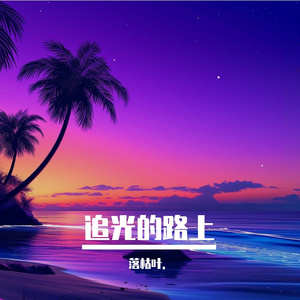 追光的路上