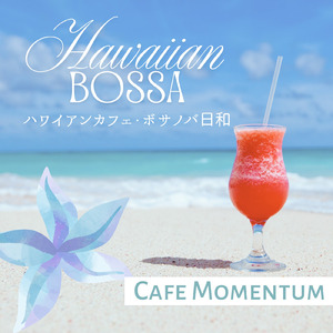 木漏れ日のカウンター