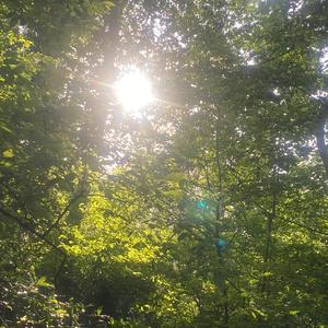 Pink Lemonade (Intro To Goodbye...)