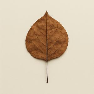 Ovishopto Jibon Amar