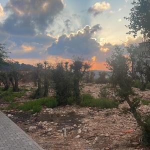 Slow Dance in the Dark