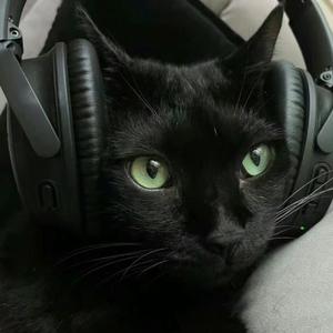 独行侠+爱如潮水