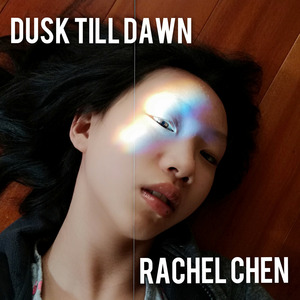 Dusk Till Dawn (Cover)