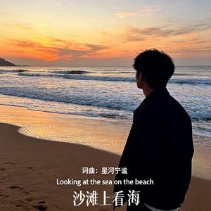 沙滩上看海