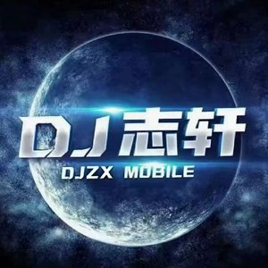 宋佳-醒着酒bb鼓（鲁QDJZX remix）