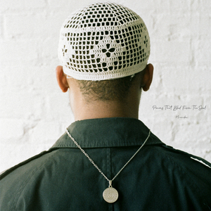 A Rose Told Me About Love. - Acoustic