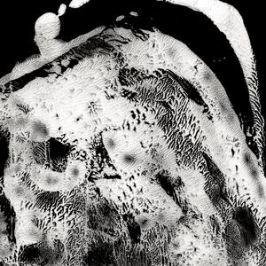 Twins (feat. Horace Andy)