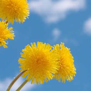 爱的回响_96khz_24bit