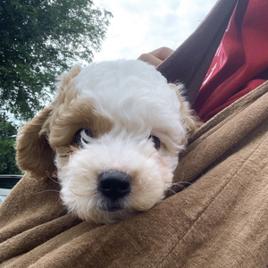 ขวดน้ำปลาในตู้เย็น - Speed Up