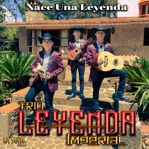 Sinverguenza