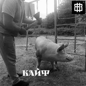 Людський кайф