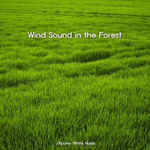 숲에서 부는 바람 (ASMR 집중 자장가)