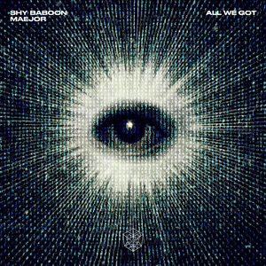 All We Got (Extended Mix)