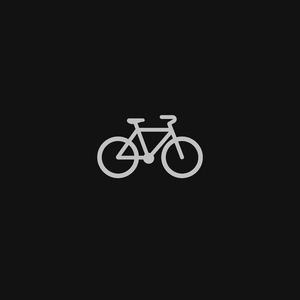 Drahtesel (Fahrrad)